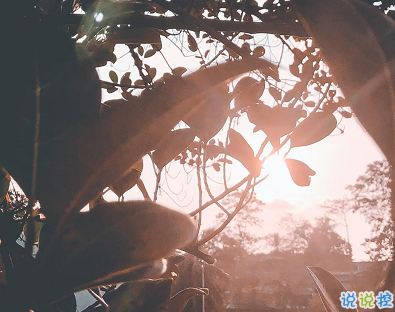 30句很走心的干净短句早安励志 要想有所得就要有所戒2