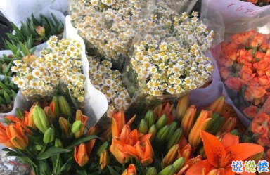 心情低落时可以看的句子  不要去反复思考同一个问题12