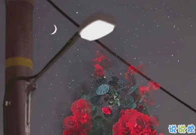 看着笑死人的朋友圈说说 2021一波沙雕又可爱的文案1