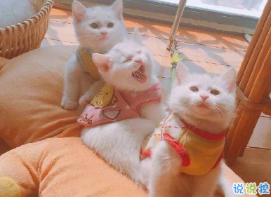 30条关于爱情的可爱句子 我和天地万物通通奔向你 2