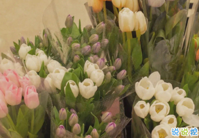 2021有点丧的发朋友圈小句子 适合深夜发的小句子10