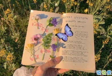 2021有点丧的发朋友圈小句子 适合深夜发的小句子11