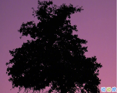 30件变优秀提升幸福感的事情 带给我们幸福感2