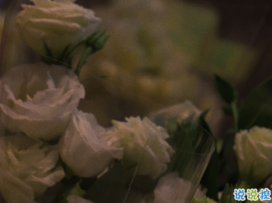 15条浪漫的诗意爱情句子 爱意却是脑海一闪而过的善意8