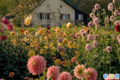 宫崎骏千与千寻里的经典语录 人生要走的方向正确6