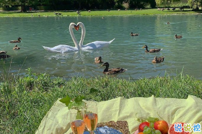 宫崎骏千与千寻里的经典语录 人生要走的方向正确9