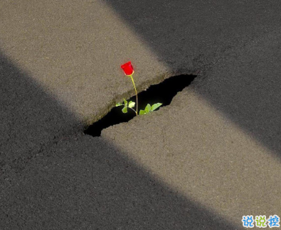 2020重阳节的早安语录 精力充沛沸阳阳2