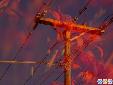 一眼就喜欢的发朋友圈小句子 吸睛的朋友圈小句子10