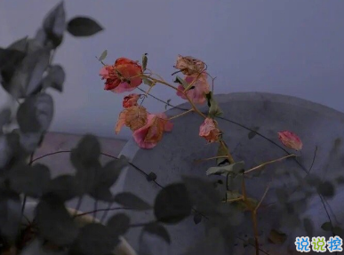 打工人有趣的早安问候文案 早安打工人1