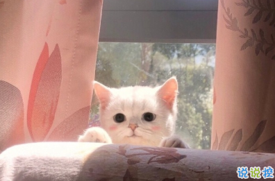 九九重阳节幸福文案 九九重阳幸福久久1