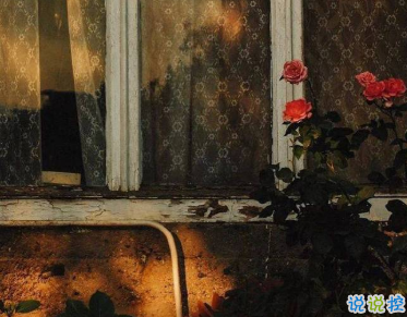 旅行时发的文艺简短句子 孤独的人有他们自己的沼泽2