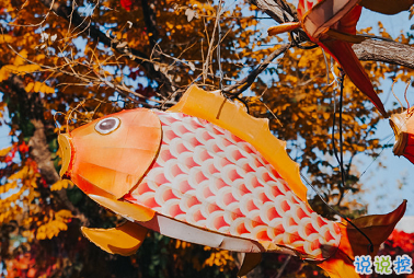 让你一眼就能心动的图片说说 清晨和夜晚都请用力去生活2