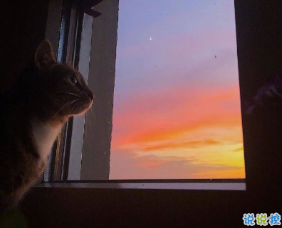 对异地的他表达思恋的句子  再相逢希望我们都在更高处 ​​​​12