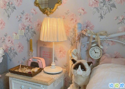 发朋友圈的高级感唯美说说 不爱孤单久也习5