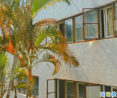 适合十一月发朋友圈温暖人心的文案 放弃不难但坚持一定很酷14