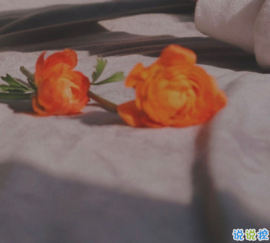 2021适合跨年夜官宣恋爱的句子 以后的生活里都有你这个小可爱1