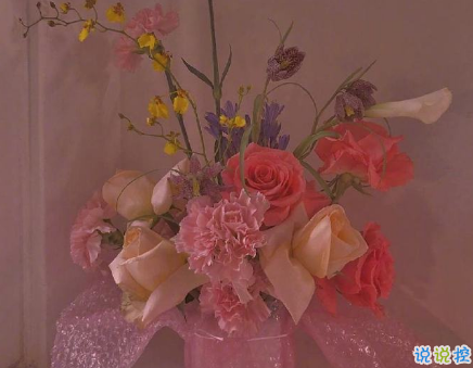 抖音顶尖会被秒赞的有趣文案 一眼入人心的抖音文案1