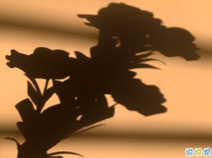 2021朋友圈很丧很绝望的温柔文案 所有的情绪我一样也没躲过2