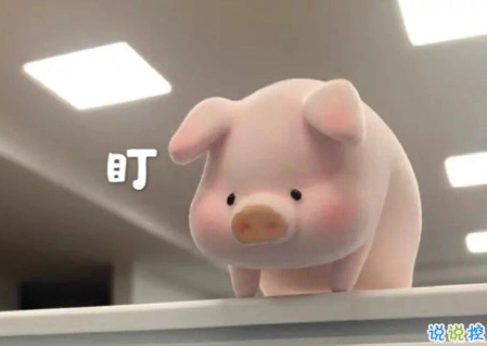 2021适合发朋友圈的文艺经典句子 总有一条你用得到的句子1