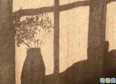 冬季发朋友圈的唯美句子带图片 坠欢莫拾酒痕在衣13