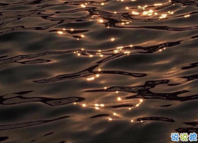 2021很有诗意内涵的晚安句子 桐花万里路连朝语不息3