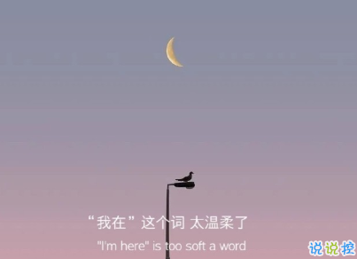 2021很有诗意内涵的晚安句子 桐花万里路连朝语不息8