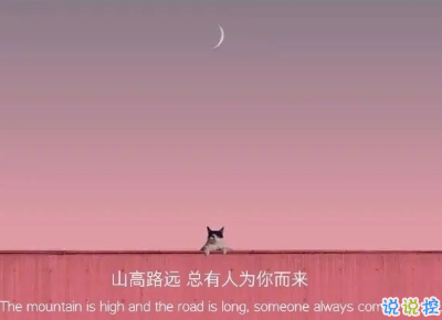 2021很有诗意内涵的晚安句子 桐花万里路连朝语不息11