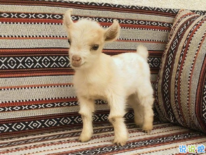 教你如何辨别渣男的句子 渣男经典语录带图片11