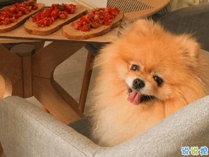 教你如何辨别渣男的句子 渣男经典语录带图片14