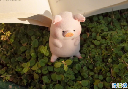 向往大海简短治愈朋友圈文案 描写大海的惊艳文案8