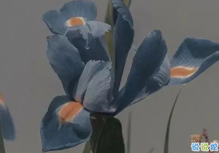 向往大海简短治愈朋友圈文案 描写大海的惊艳文案3