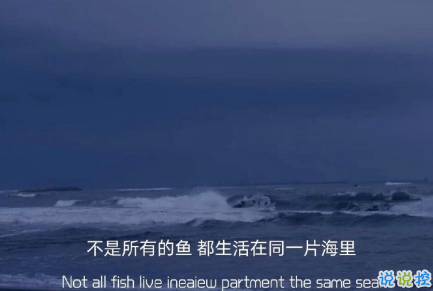 向往大海简短治愈朋友圈文案 描写大海的惊艳文案5