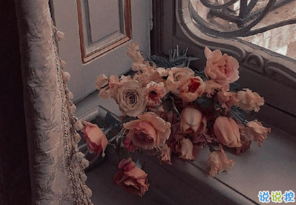 向往大海简短治愈朋友圈文案 描写大海的惊艳文案7