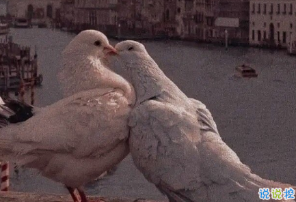 向往大海简短治愈朋友圈文案 描写大海的惊艳文案9