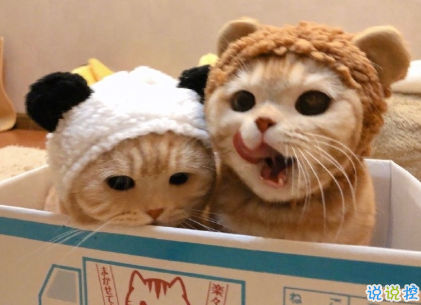 2021让你觉得人间值得的温柔说说 日日又长长感谢所有奇妙相遇2