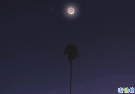 小红书精选简单气质很温柔的一句话说说 很简单的很有气质的一句话1