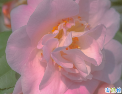 天冷发朋友圈搞笑说说带图片 降温朋友圈最火文案5