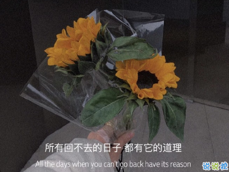 揭穿人生真相的经典句子 值得深思的精辟语录7