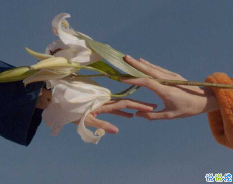 很隐晦低调的宣布分手的文案 很文艺优雅的宣布分手说说1