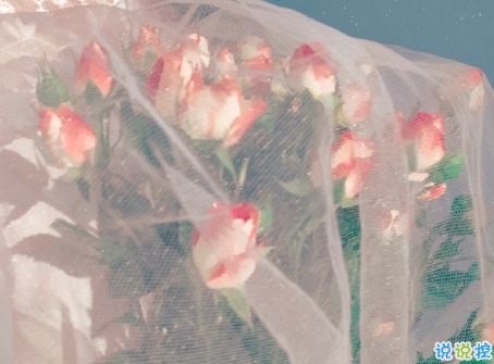 很隐晦低调的宣布分手的文案 很文艺优雅的宣布分手说说6