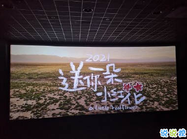 电影送你一朵小红花经典催泪台词 经典扎心催泪语录3