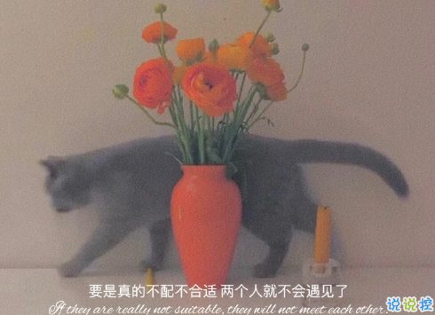 2021好好生活的治愈文案 很治愈内心的温柔文案2