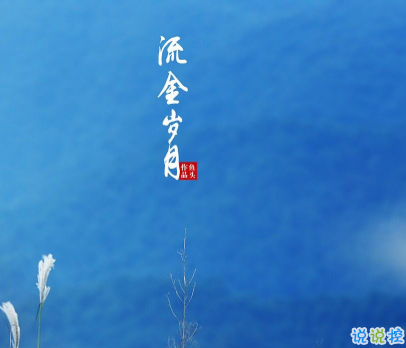 《流金岁月》经典台词有哪些 亦舒流金岁月经典台词大全2