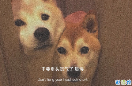 很丧的却很惊艳的朋友圈文案 压抑且温柔的高质量丧系文案2