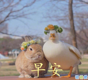 2021最新早安心情说说大全 2021让人充满正能量的早安说说2