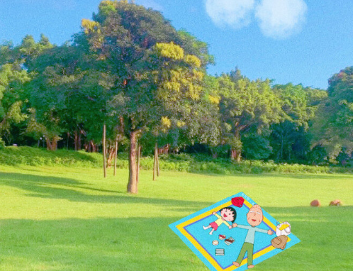 让你一眼惊鸿的爱情英文句子带翻译 唯美的英文爱情说说1