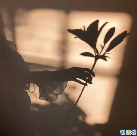 适合微信状态的小众文案带背景图 很高逼格的微信状态文案1