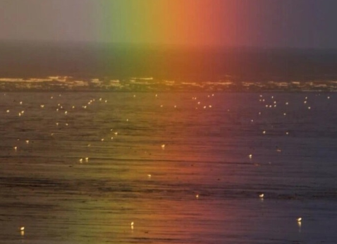 当代沙雕必备除夕夜的微信说说 2021除夕夜的搞笑文案1