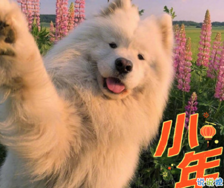 腊月二十四南方小年祝福语 南方小年夜暖心句子大全2