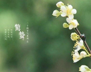 2021惊蛰节气微信简短祝福语说说 惊蛰节气的心情说说大全2